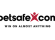 Betsafe bonus 250 PLN w zakładach Premier League